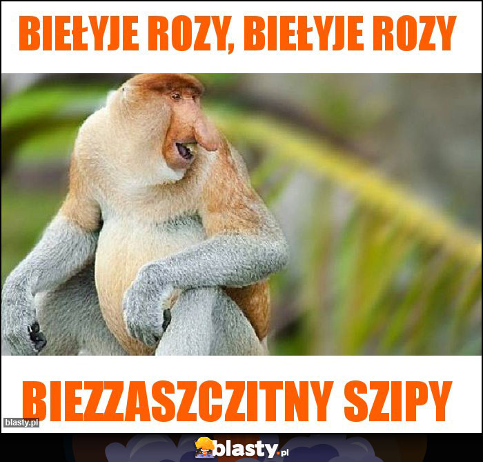 BIEŁYJE ROZY, BIEŁYJE ROZY BIEŁYJE ROZY, BIEŁYJE ROZY