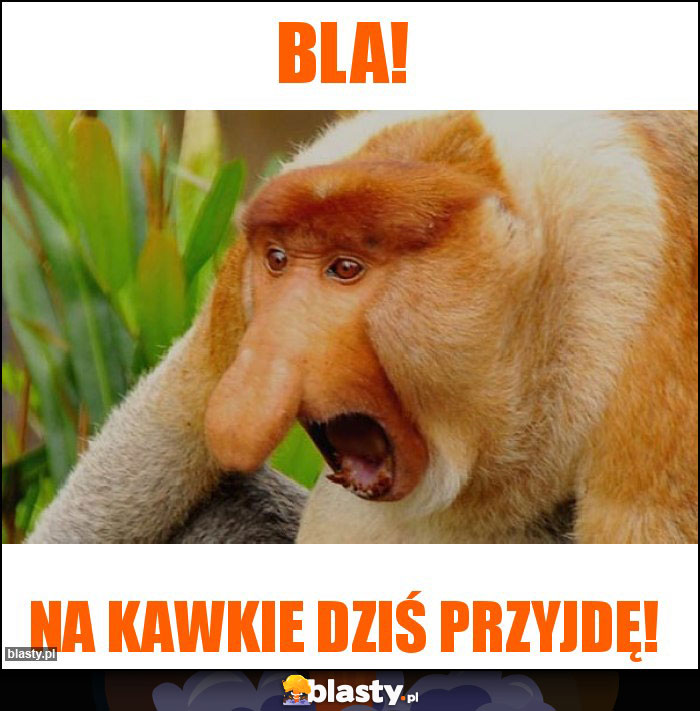 Bla!