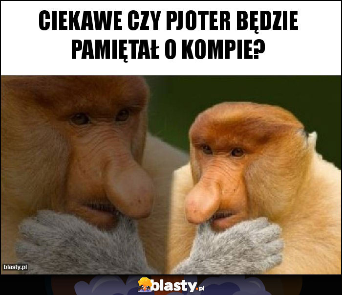 Ciekawe czy pjoter będzie pamiętał o kompie? Ciekawe czy pjoter będzie pamiętał o kompie?