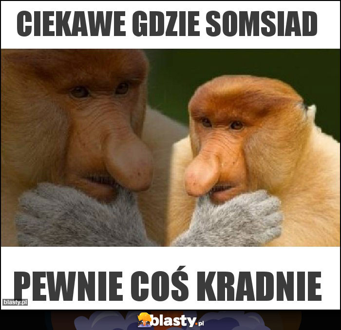 Ciekawe gdzie somsiad Ciekawe gdzie somsiad