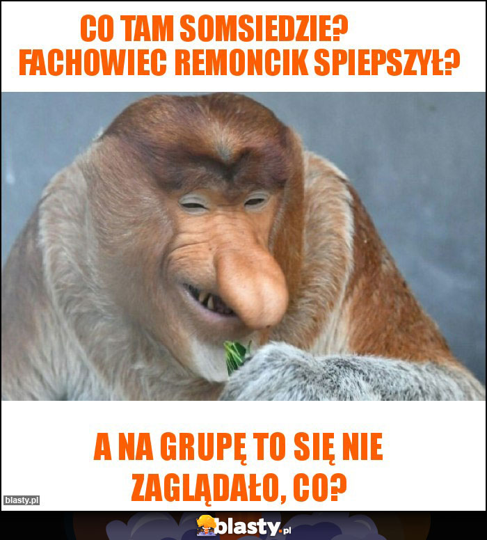 Co tam somsiedzie? Fachowiec remoncik spiepszył? Co tam somsiedzie? Fachowiec remoncik spiepszył?