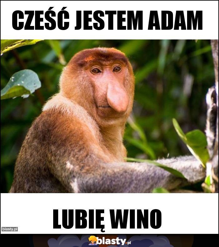 Cześć jestem adam Cześć jestem adam