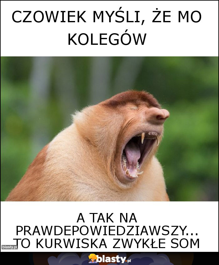 Czowiek myśli, że mo kolegów Czowiek myśli, że mo kolegów