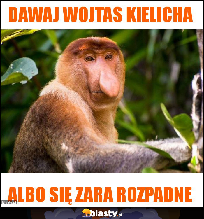 Dawaj Wojtas kielicha Dawaj Wojtas kielicha