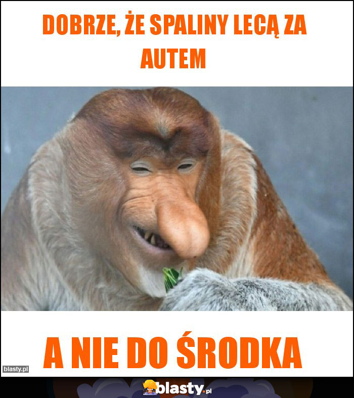 dobrze, że spaliny lecą za autem dobrze, że spaliny lecą za autem