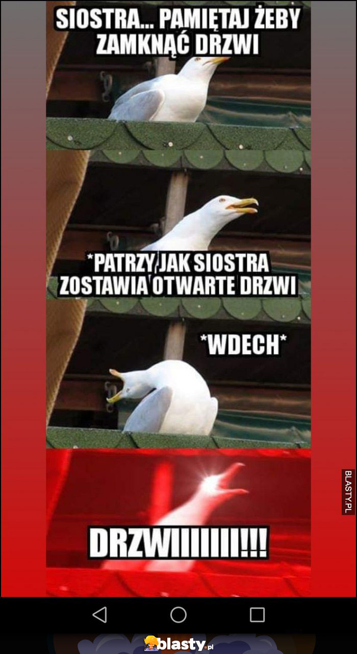 Drzwi