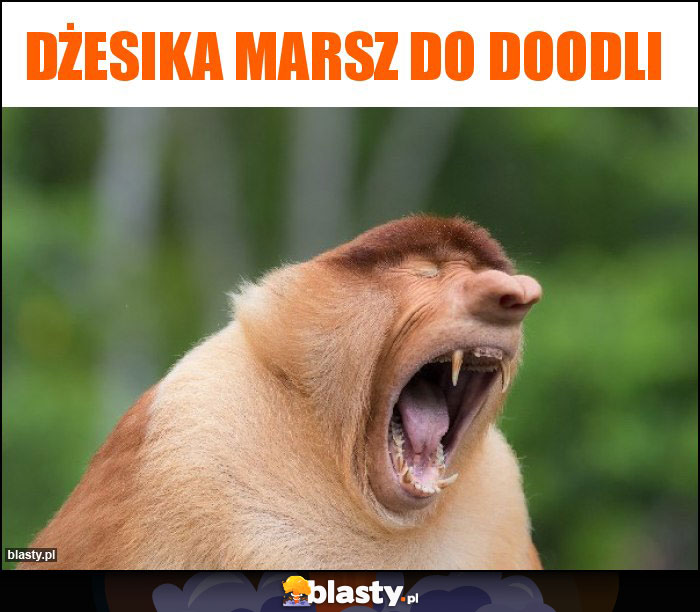 Dżesika marsz do doodli Dżesika marsz do doodli