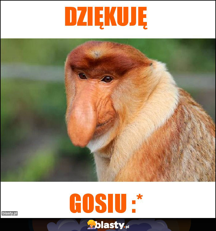 DZIĘKUJĘ