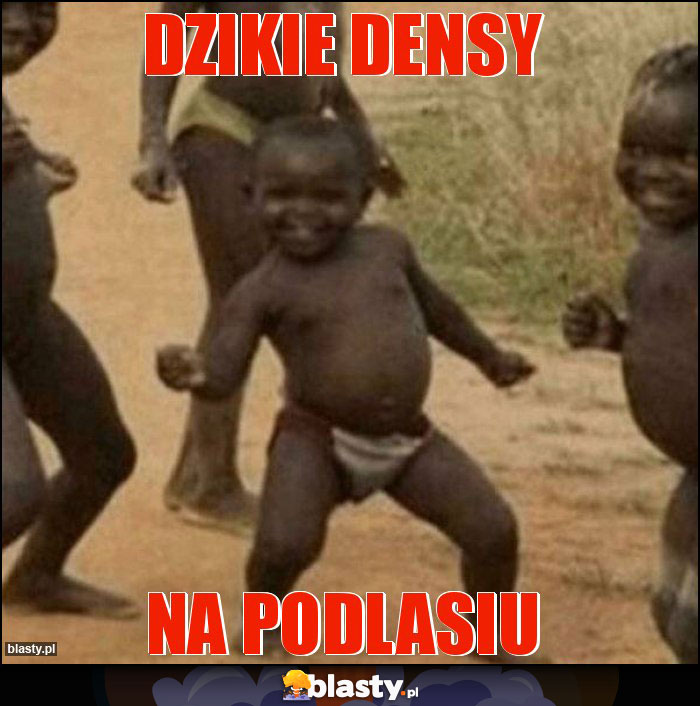 Dzikie densy Dzikie densy