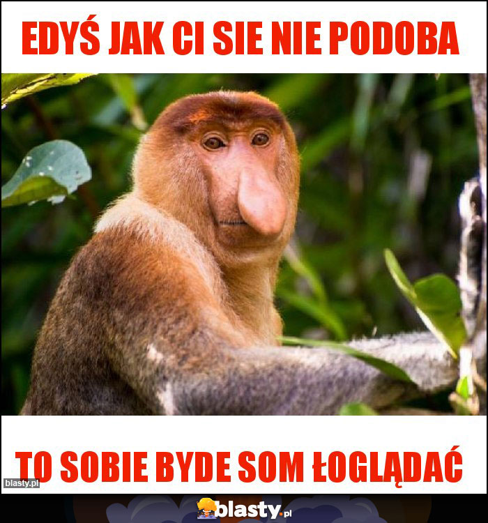 Edyś jak Ci sie nie podoba Edyś jak Ci sie nie podoba