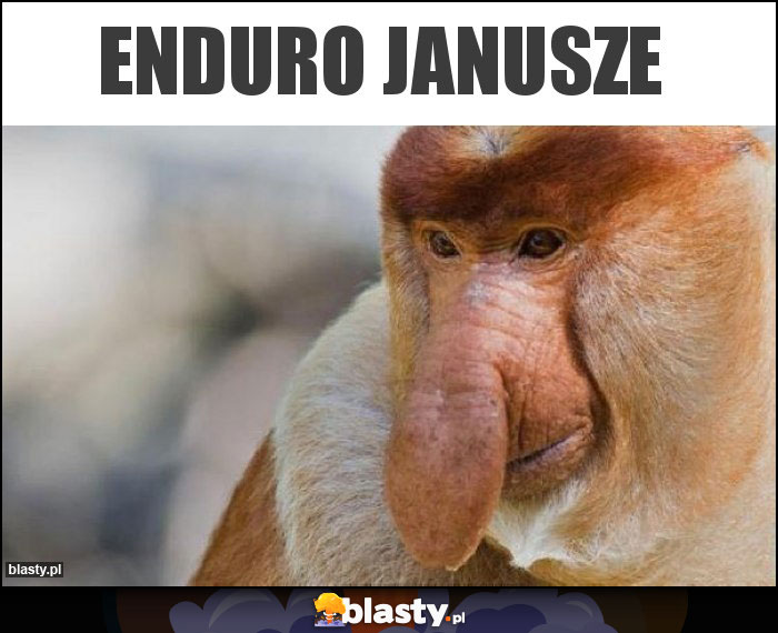 Enduro Janusze Enduro Janusze