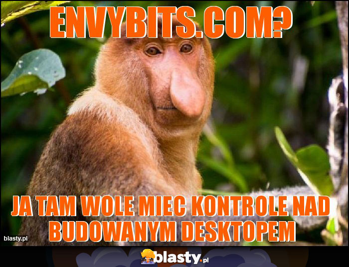 Envybits.com? Envybits.com?