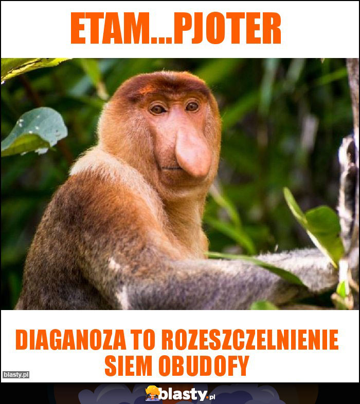 Etam...Pjoter Etam...Pjoter