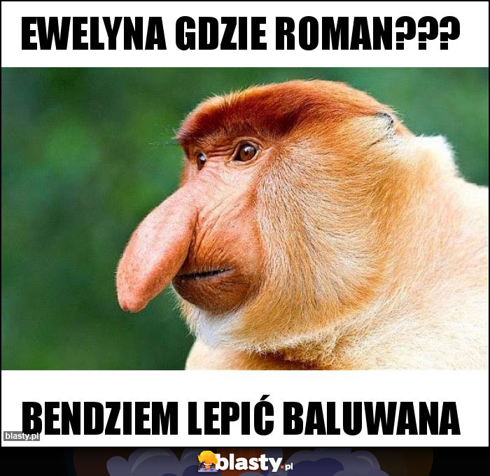 Ewelyna gdzie Roman??? Ewelyna gdzie Roman???
