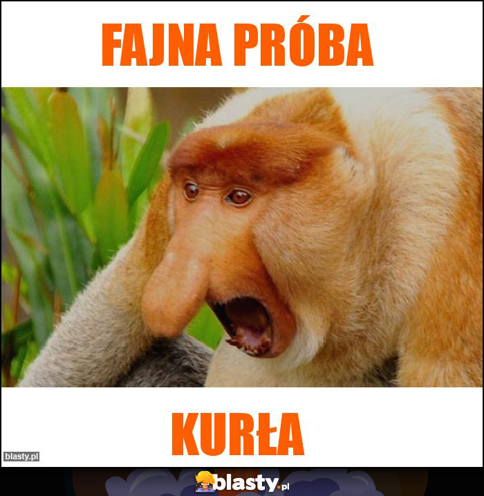 Fajna próba Fajna próba