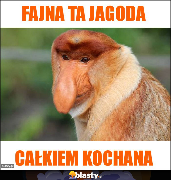 Fajna ta Jagoda