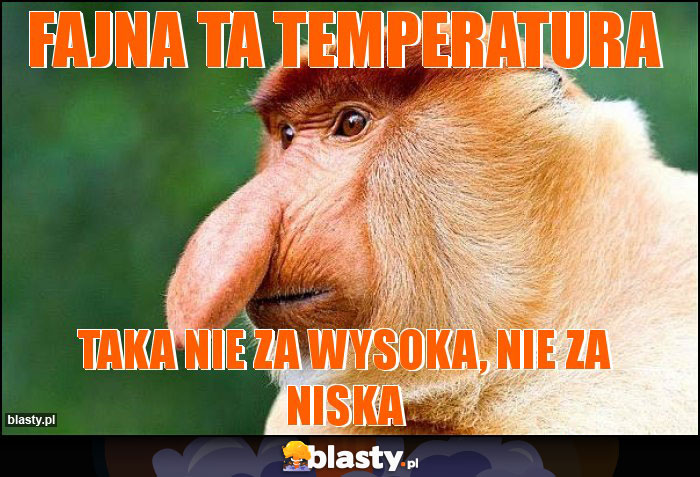 Fajna ta temperatura Fajna ta temperatura