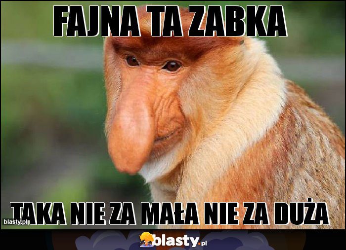 Fajna ta zabka Fajna ta zabka