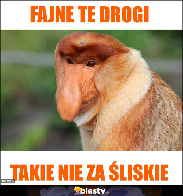 Fajne te drogi Fajne te drogi
