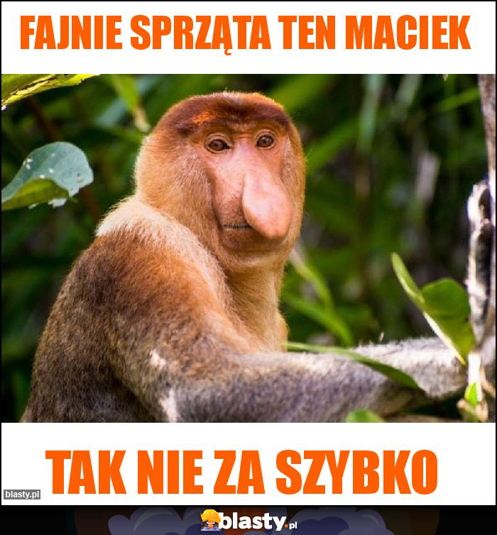 Fajnie sprząta ten Maciek Fajnie sprząta ten Maciek