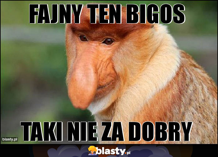 Fajny ten bigos