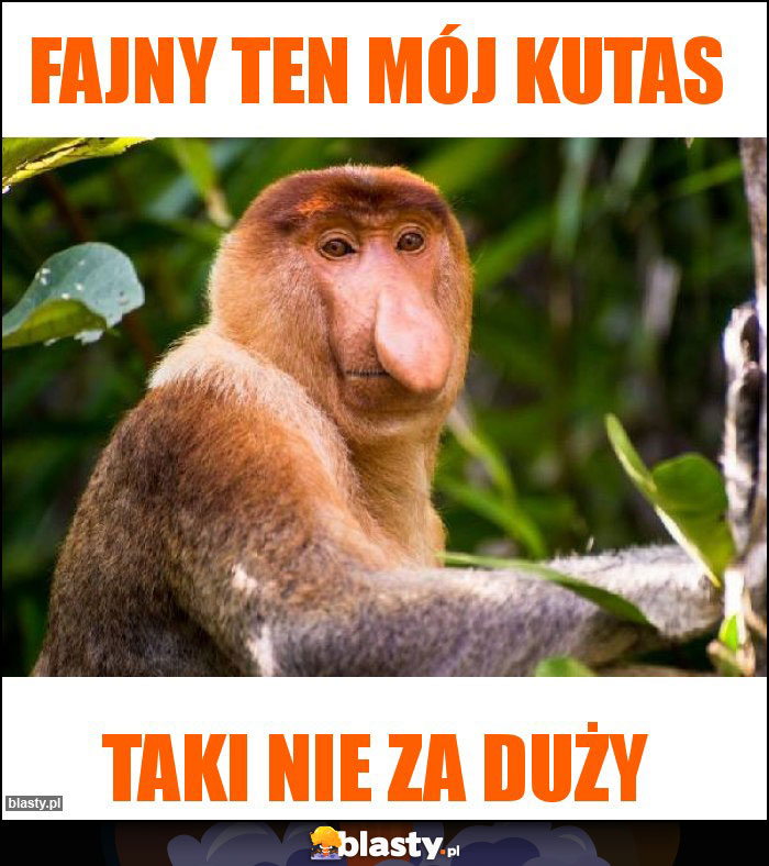 Fajny ten mój kutas Fajny ten mój kutas
