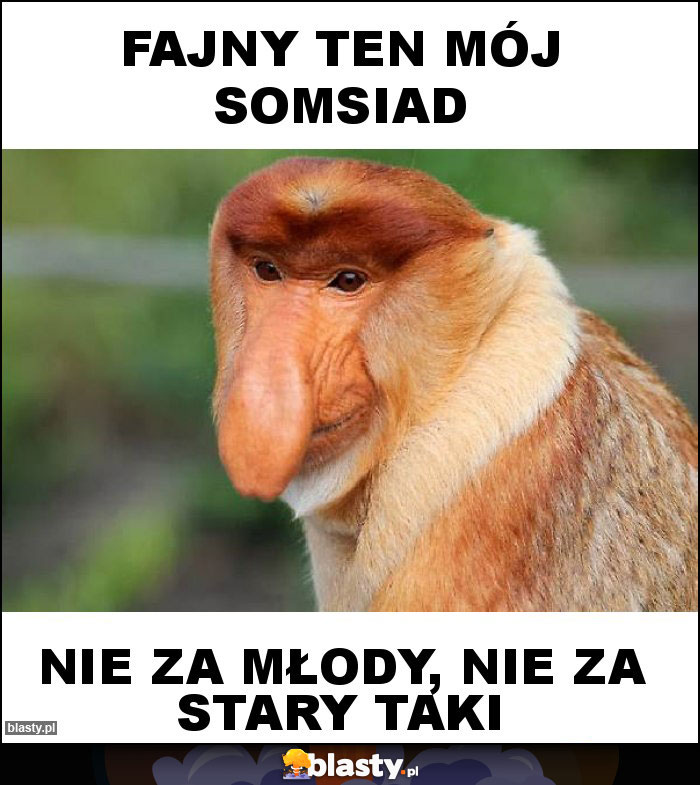 FAJNY TEN MÓJ SOMSIAD FAJNY TEN MÓJ SOMSIAD