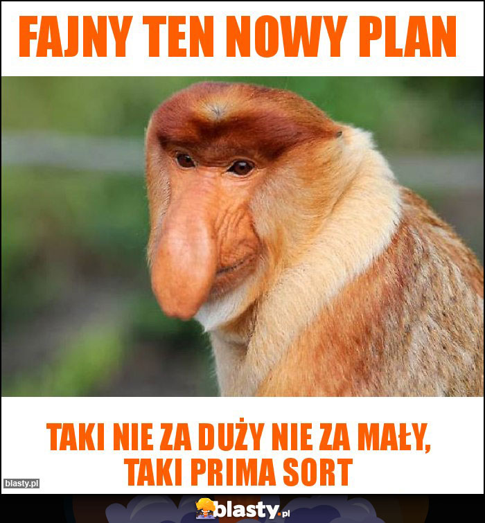 Fajny ten nowy plan