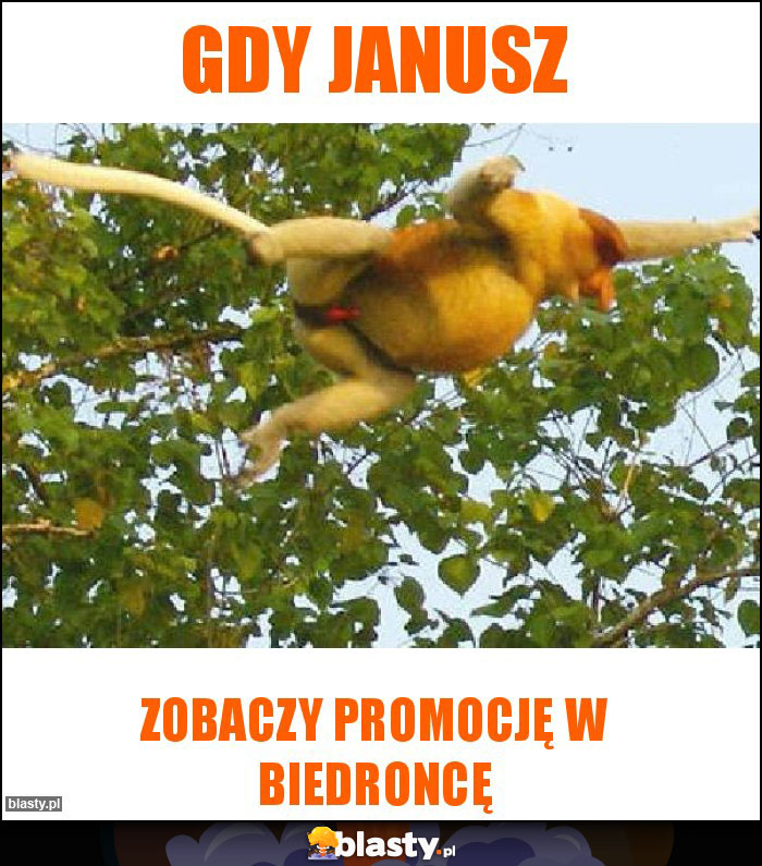 gdy Janusz gdy Janusz