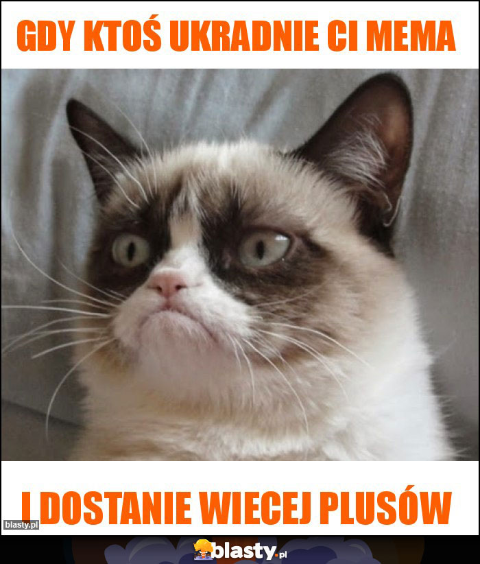 Gdy ktoś ukradnie ci mema
