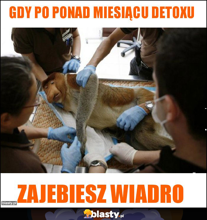 Gdy po ponad miesiącu detoxu Gdy po ponad miesiącu detoxu