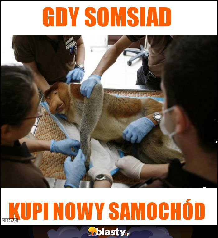 gdy somsiad gdy somsiad