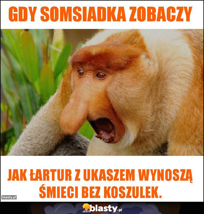 Gdy somsiadka zobaczy Gdy somsiadka zobaczy