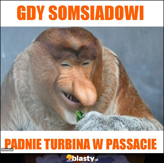 gdy somsiadowi gdy somsiadowi