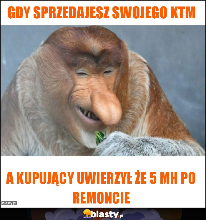 Gdy sprzedajesz swojego ktm Gdy sprzedajesz swojego ktm