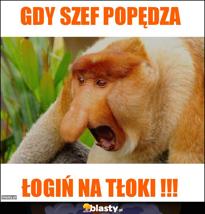 Gdy szef popędza