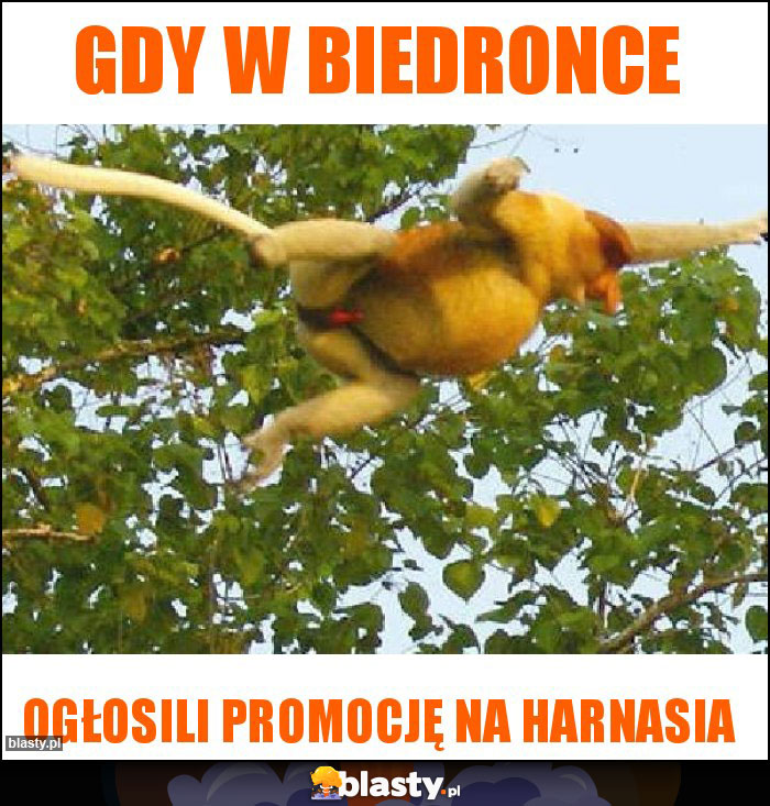 gdy w biedronce gdy w biedronce