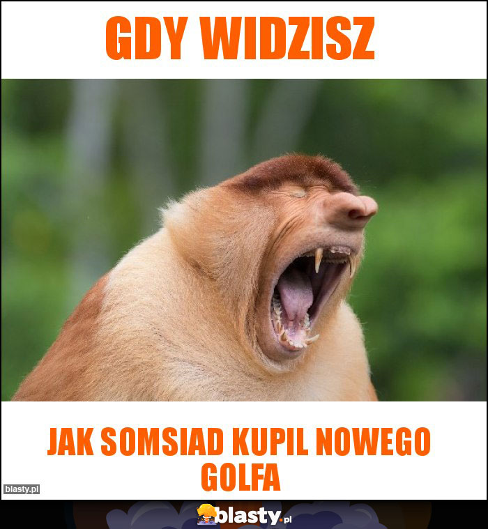 gdy widzisz gdy widzisz
