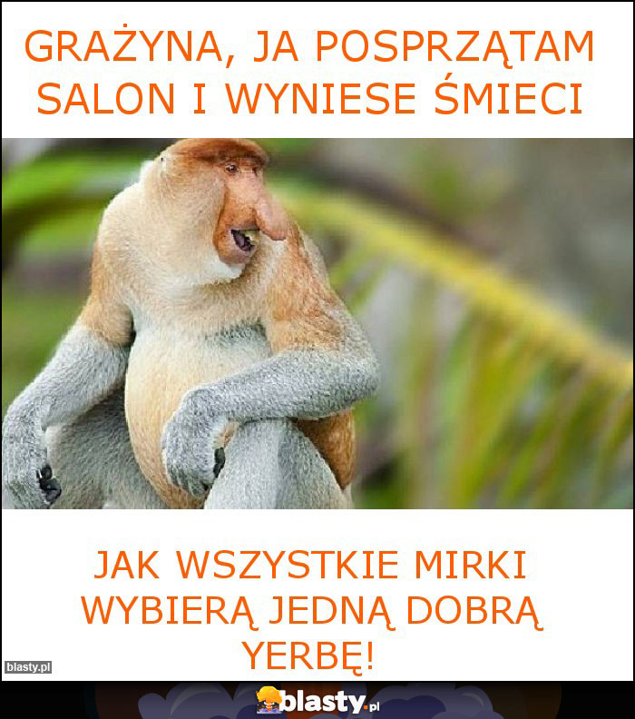 Grażyna, ja posprzątam salon i wyniese śmieci Grażyna, ja posprzątam salon i wyniese śmieci
