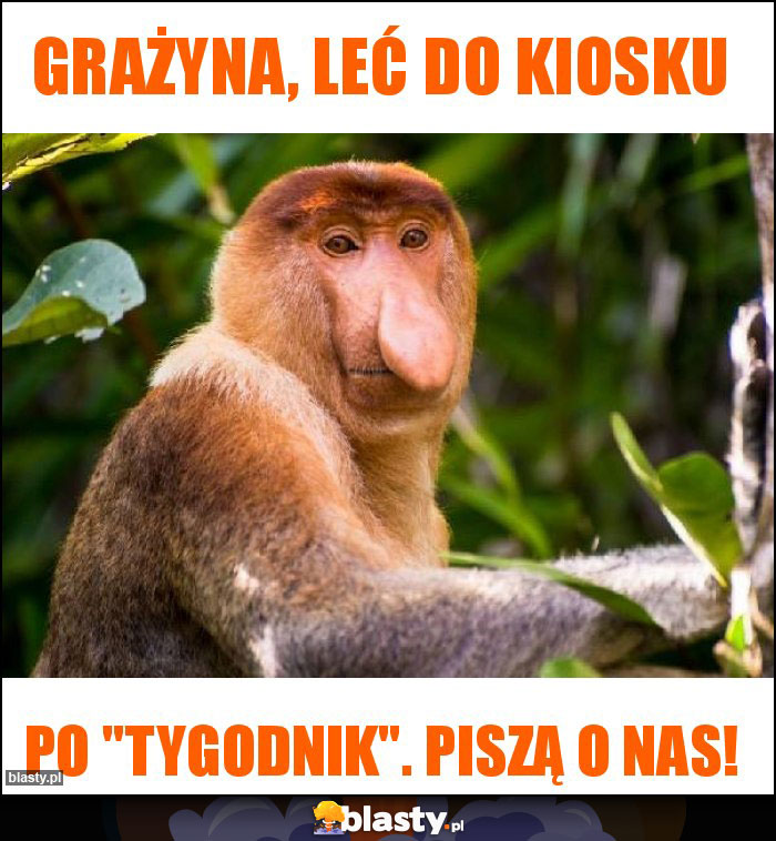 Grażyna, leć do kiosku Grażyna, leć do kiosku
