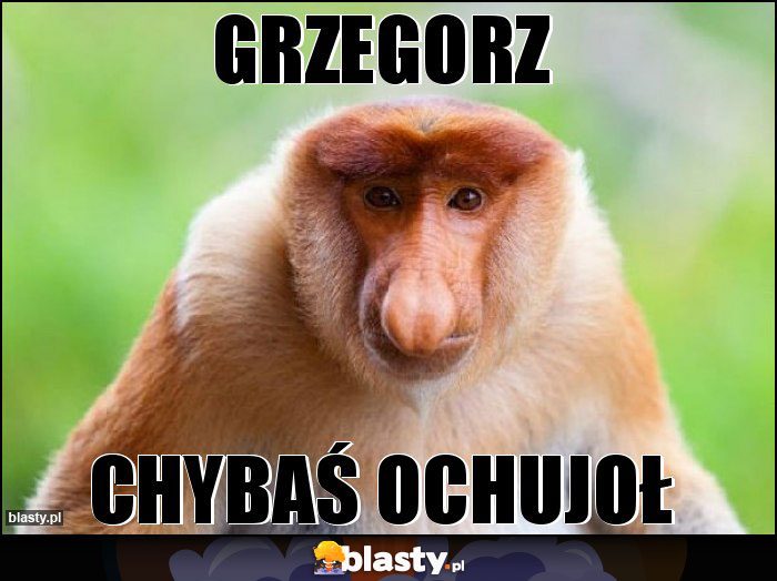 Grzegorz