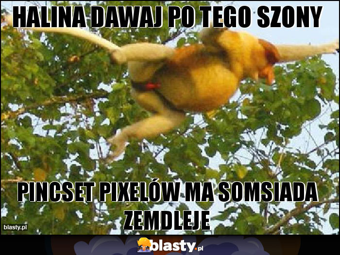 Halina dawaj po tego szony Halina dawaj po tego szony