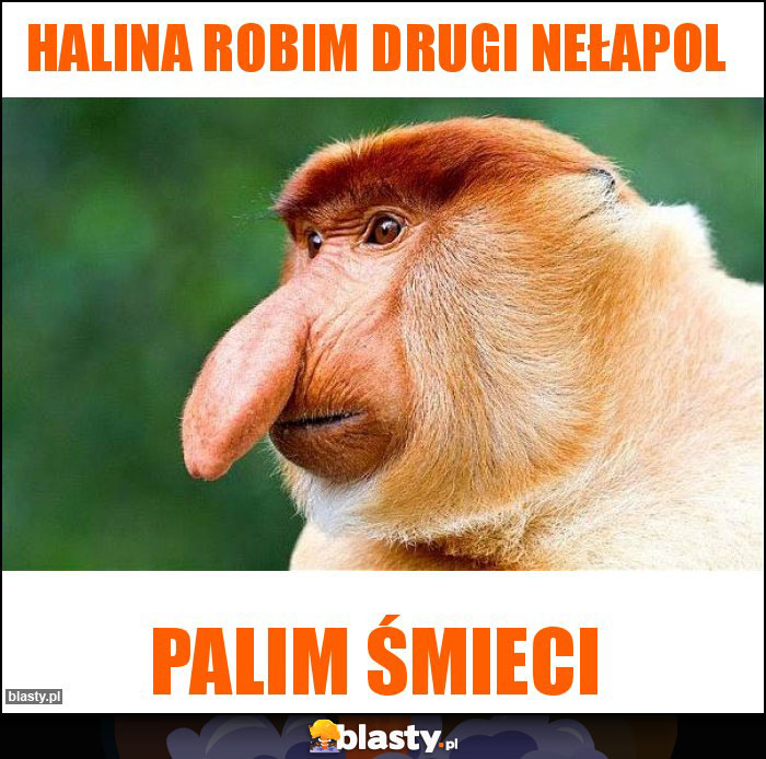 Halina robim drugi Nełapol Halina robim drugi Nełapol
