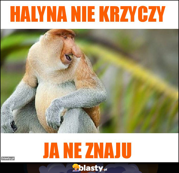 halyna nie krzyczy halyna nie krzyczy