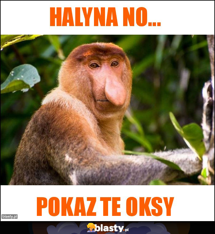 halyna no... halyna no...
