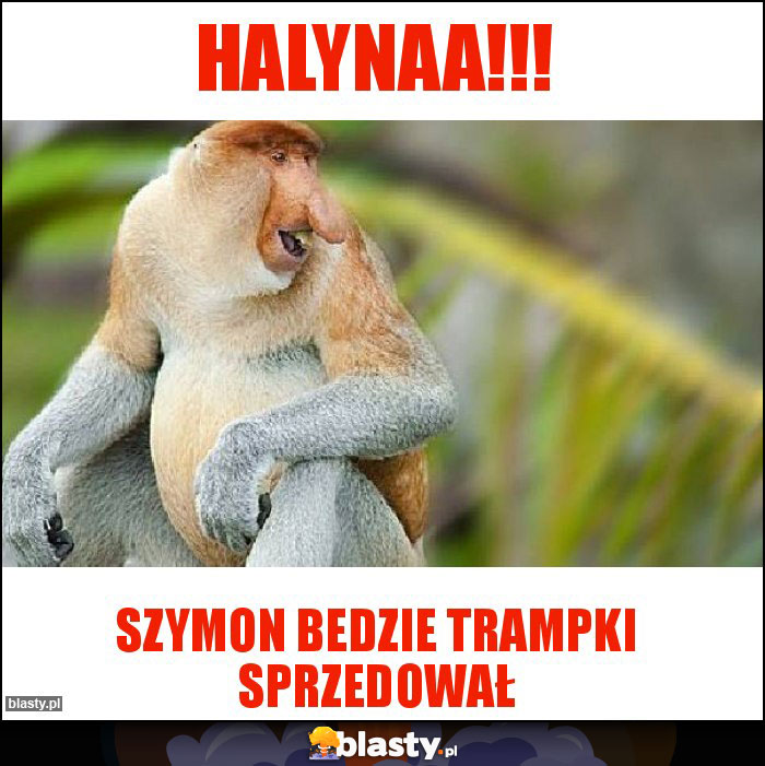 HALYNAA!!! HALYNAA!!!