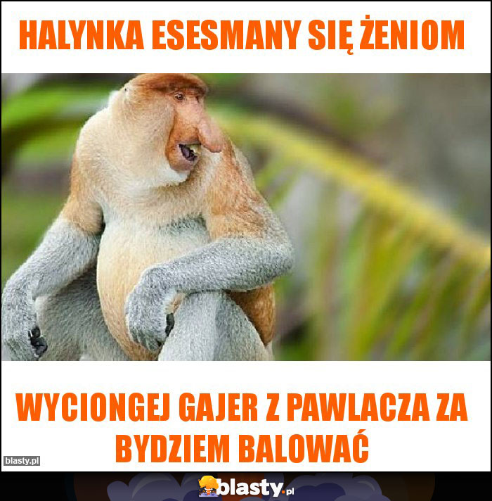 Halynka esesmany się żeniom Halynka esesmany się żeniom
