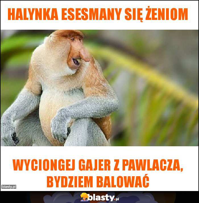 Halynka esesmany się żeniom Halynka esesmany się żeniom