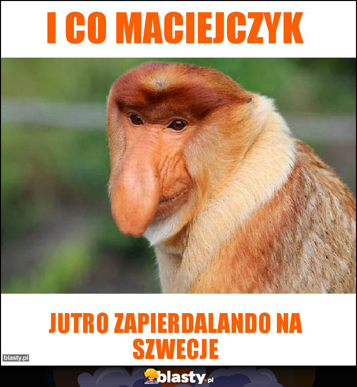 I co Maciejczyk I co Maciejczyk