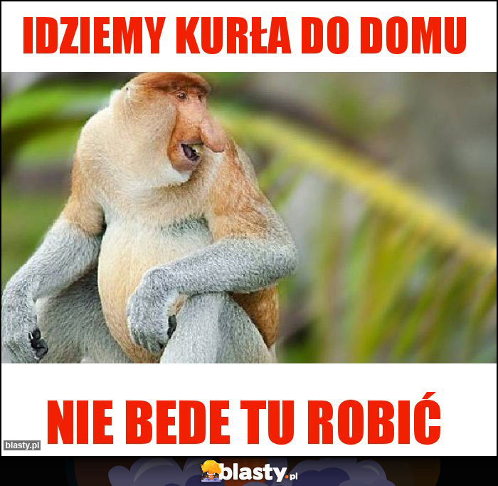 Idziemy kurła do domu Idziemy kurła do domu